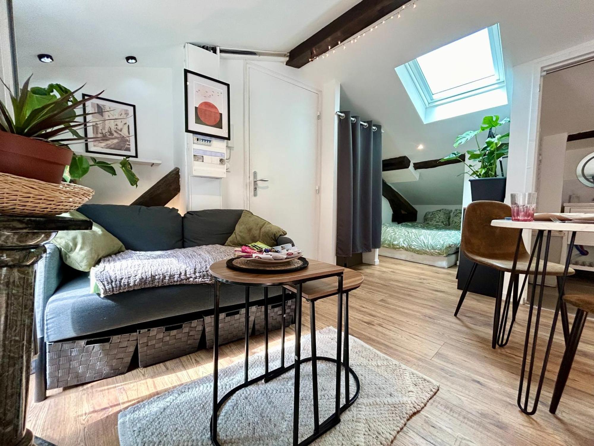 Loft Hortensia Hyper Centre Castres Castres  Exterior photo
